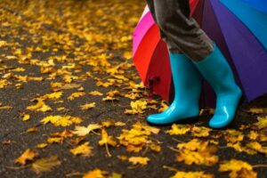 Waterproof Boots for Rainy Weather: What to Look For